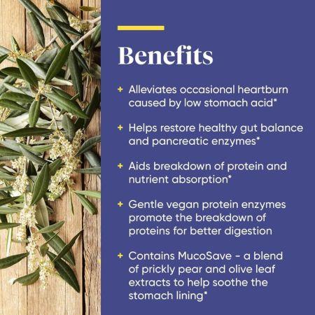 Enzymedica Betaine HCI 600mg Capsules