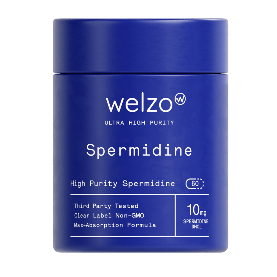Ultra Purity Spermidine capsules for cellular renewal