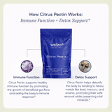 Ultra Purity Gut and Daily Balance bundle probiotic fibre collagen – view 9