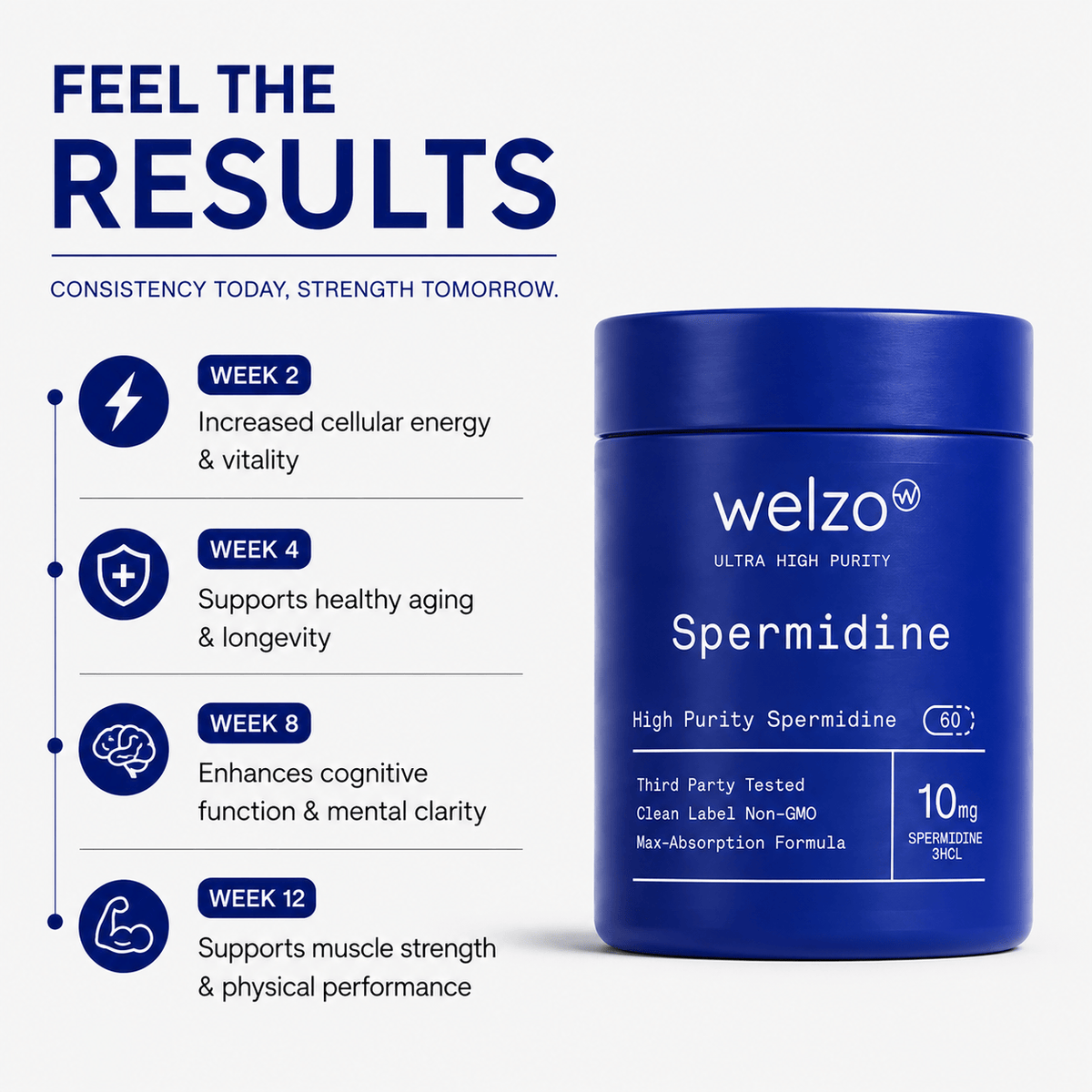Ultra Purity Spermidine capsules for cellular renewal – view 6